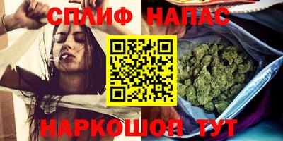 Альфа ПВП Бердск