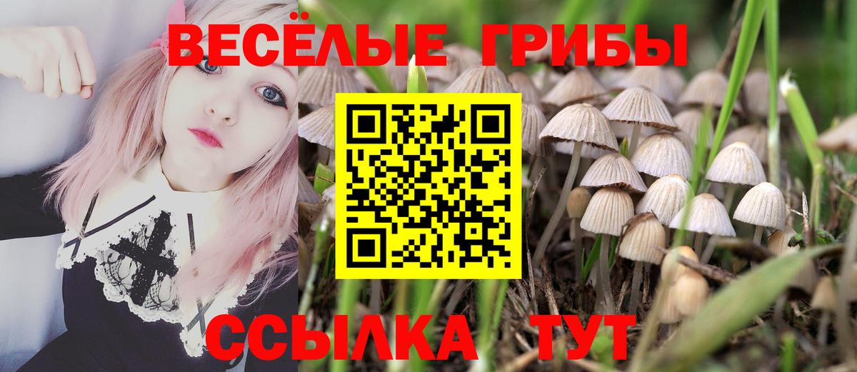 Кохма  Галлюциногенные грибы MAGIC MUSHROOMS  Вход с VPN 