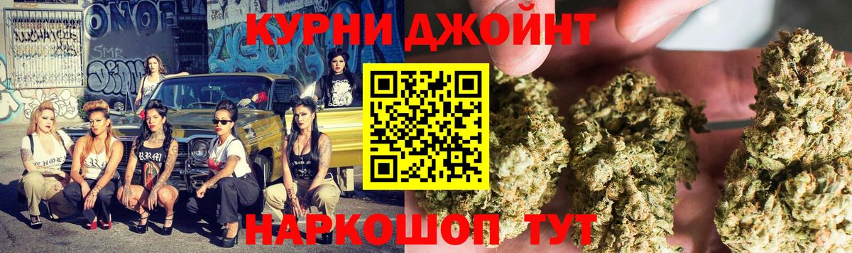 Кохма  Бошки марихуана план  Вход с VPN  Марихуана марихуана  Канабис сатива 